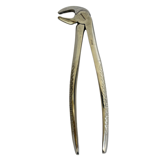 Lower Extracting Forceps