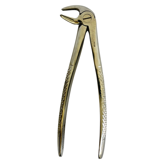 Lower Extracting Forceps